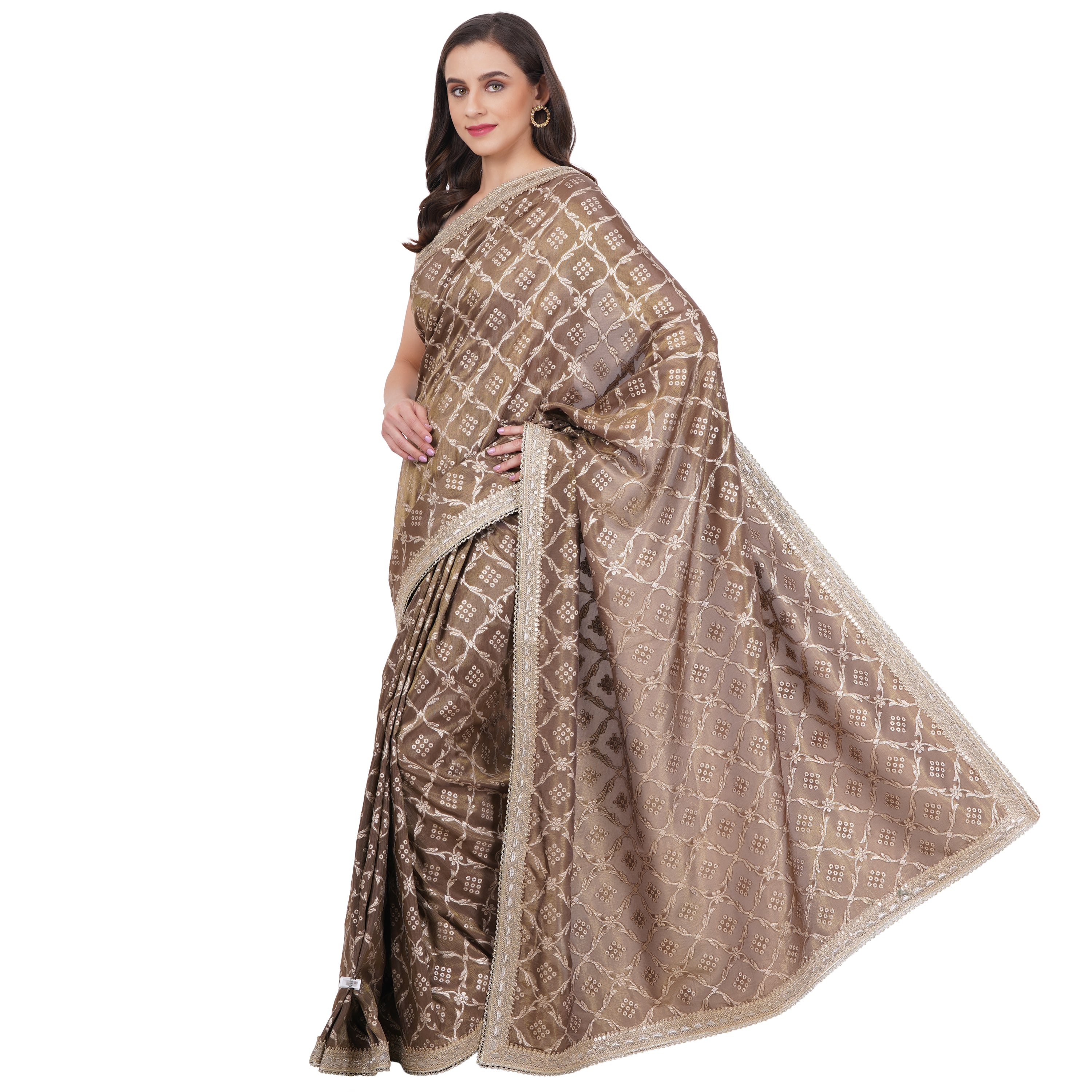 Sunehri Saree