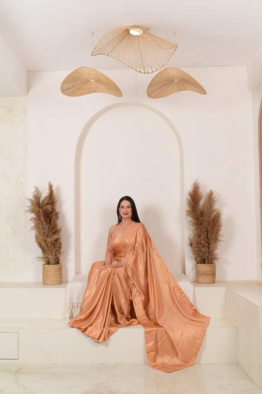 Shades of Nari Saree