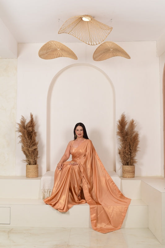 Shades of Nari Saree