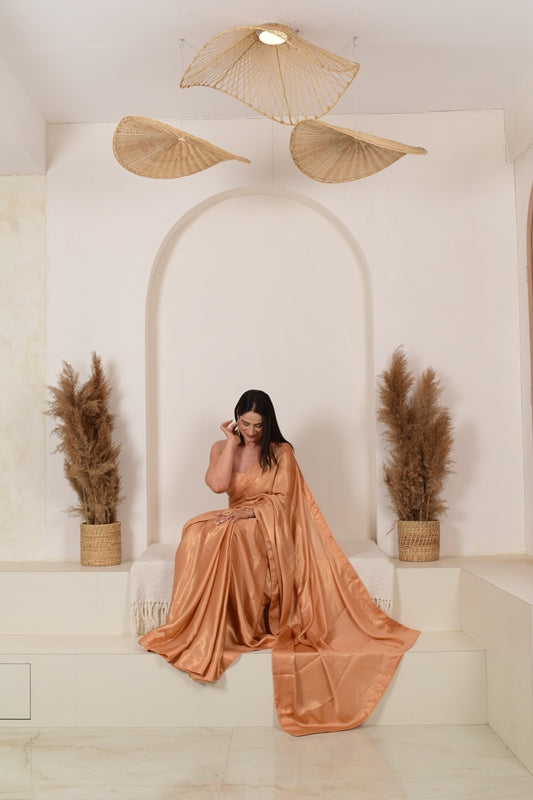 Shades of Nari Saree