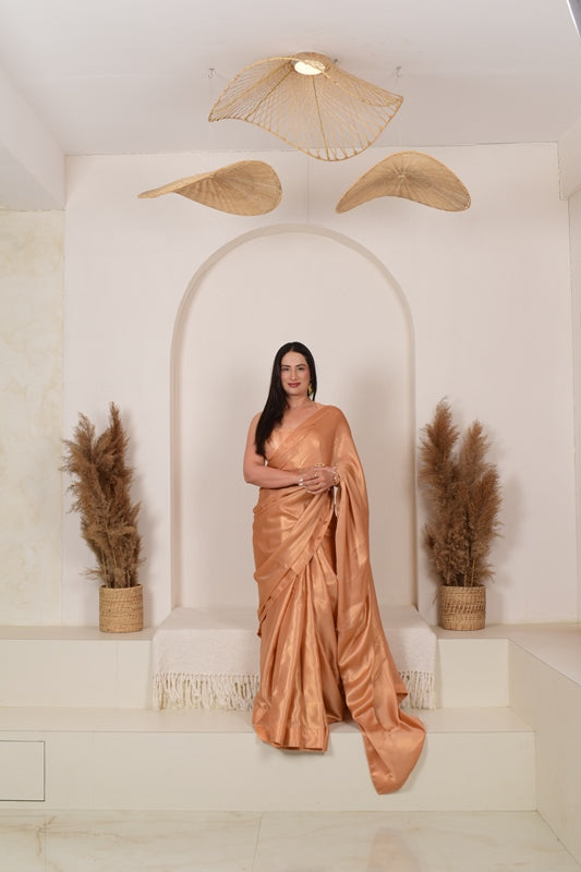 Shades of Nari Saree