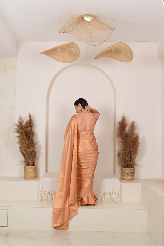 Shades of Nari Saree