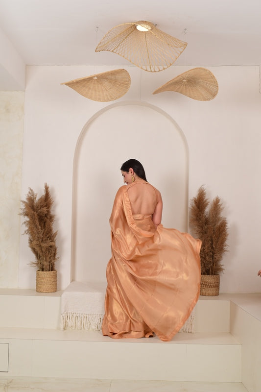 Shades of Nari Saree