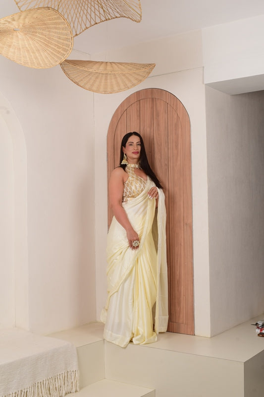 Shades of Nari Saree